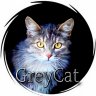 GreyCat