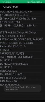 Screenshot_20220831-213009_Service mode RIL.jpg