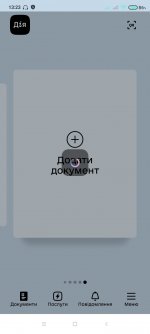 Screenshot_2022-11-17-13-23-37-162_ua.gov.diia.app.jpg