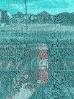 IMG_1247.jpeg
