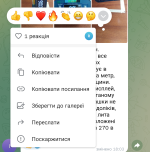 Screenshot_20250629-180949.Telegram_1.png