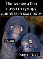 20250825_182850.jpg