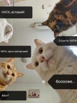 IMG_4430.jpeg