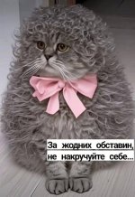 Не накручуй себе).jpg