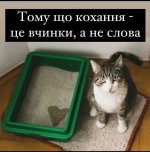 Кото-любов).jpg