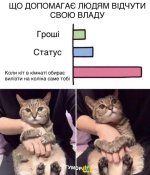 Кото-любов 2).jpg