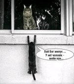 Попереджати тре).jpg