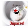 ДенисКа_редисКа