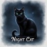 Night(Radio)Cat